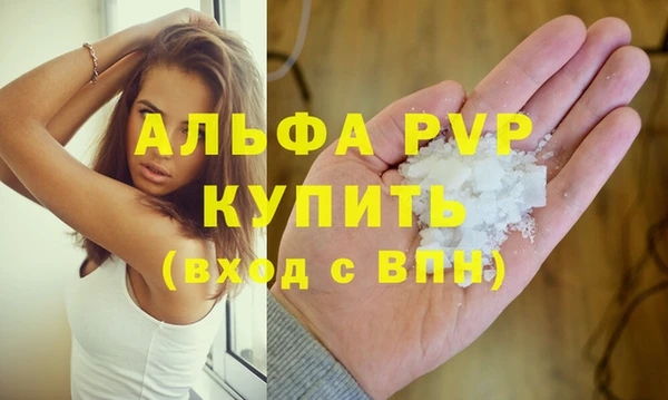 хмурый Нея