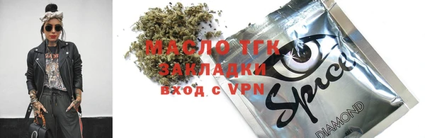 хмурый Нея