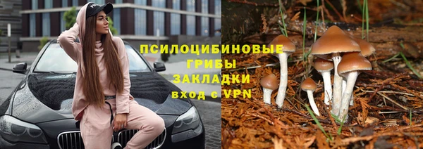 apvp Нефтегорск