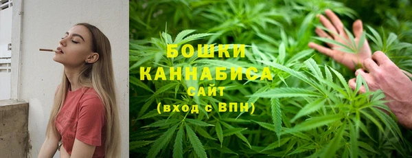 хмурый Нея