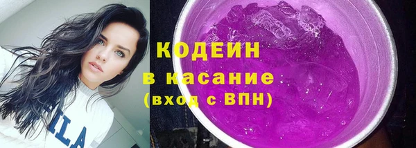 хмурый Нея